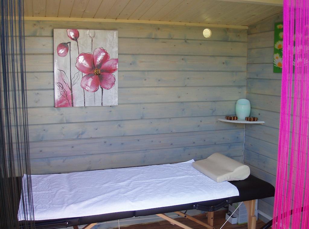 Domaine De La Chaux De Revel Guest House Saint-Martin-Valmeroux ภายนอก รูปภาพ