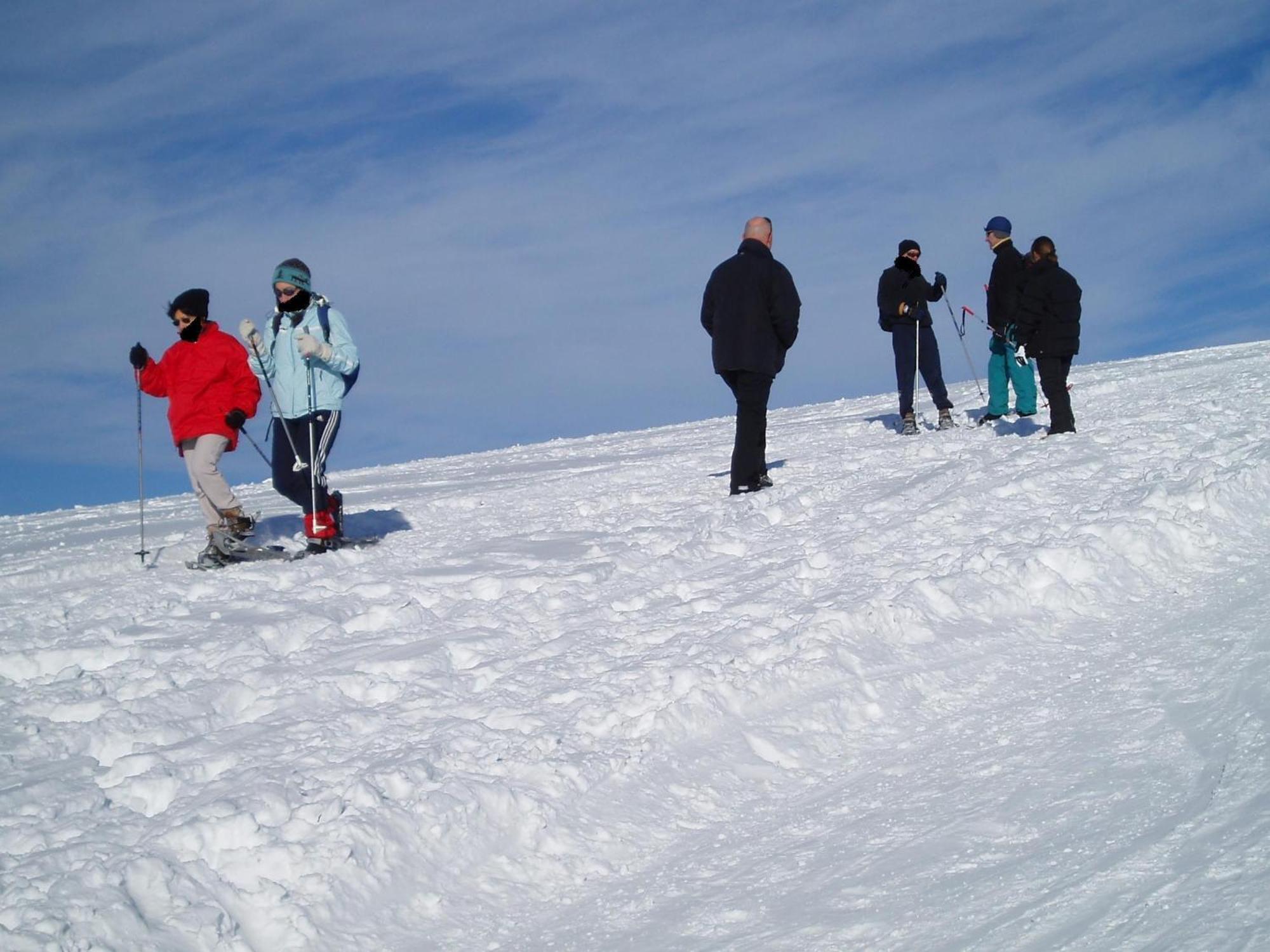 Domaine De La Chaux De Revel Guest House Saint-Martin-Valmeroux ภายนอก รูปภาพ
