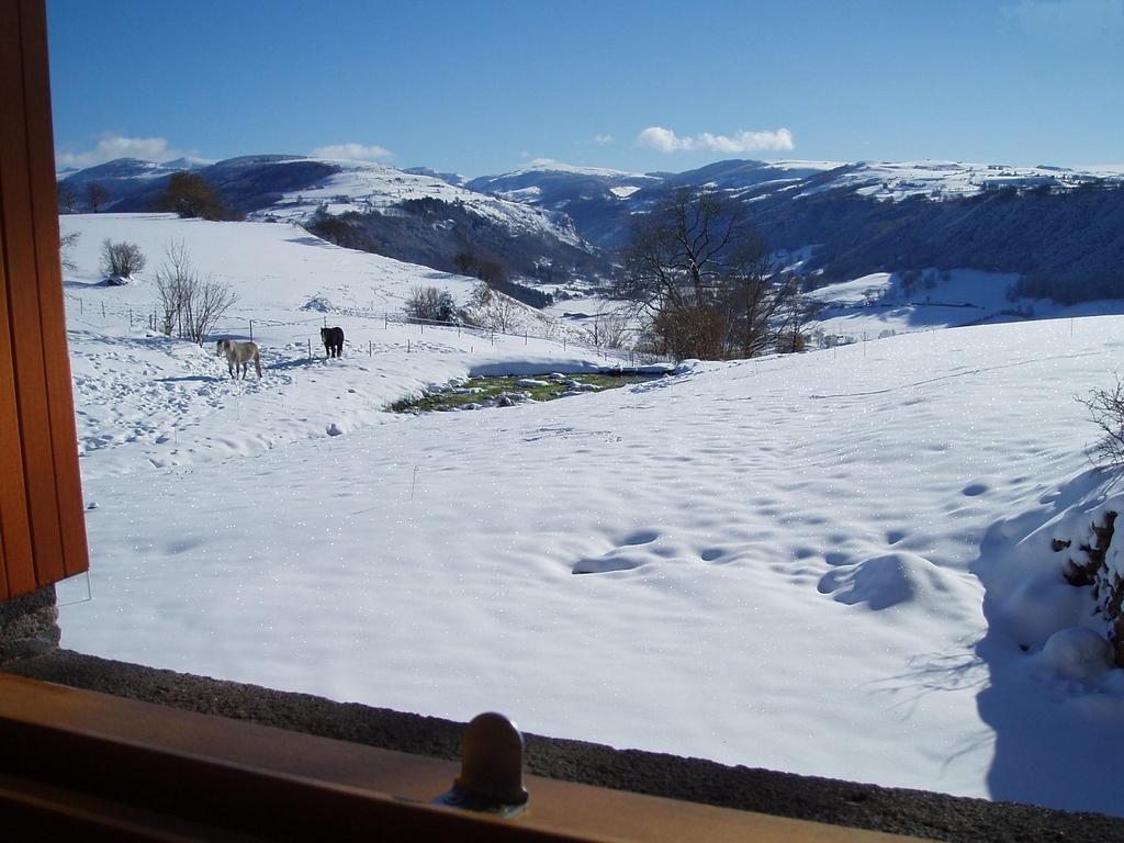 Domaine De La Chaux De Revel Guest House Saint-Martin-Valmeroux ภายนอก รูปภาพ