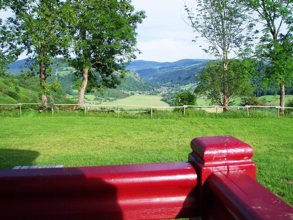 Domaine De La Chaux De Revel Guest House Saint-Martin-Valmeroux ภายนอก รูปภาพ
