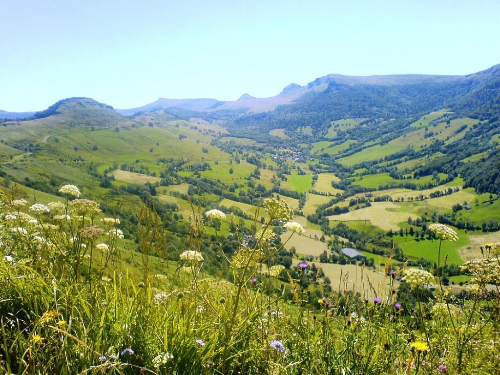 Domaine De La Chaux De Revel Guest House Saint-Martin-Valmeroux ภายนอก รูปภาพ